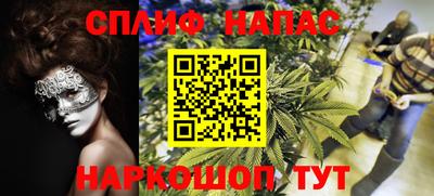 шишки Славгород