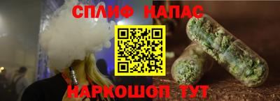 шишки Славгород