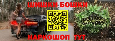 шишки Славгород
